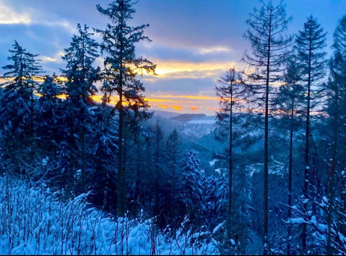Landhotel Flora & Fauna (Adults Only) Winterberg Exteriör bild
