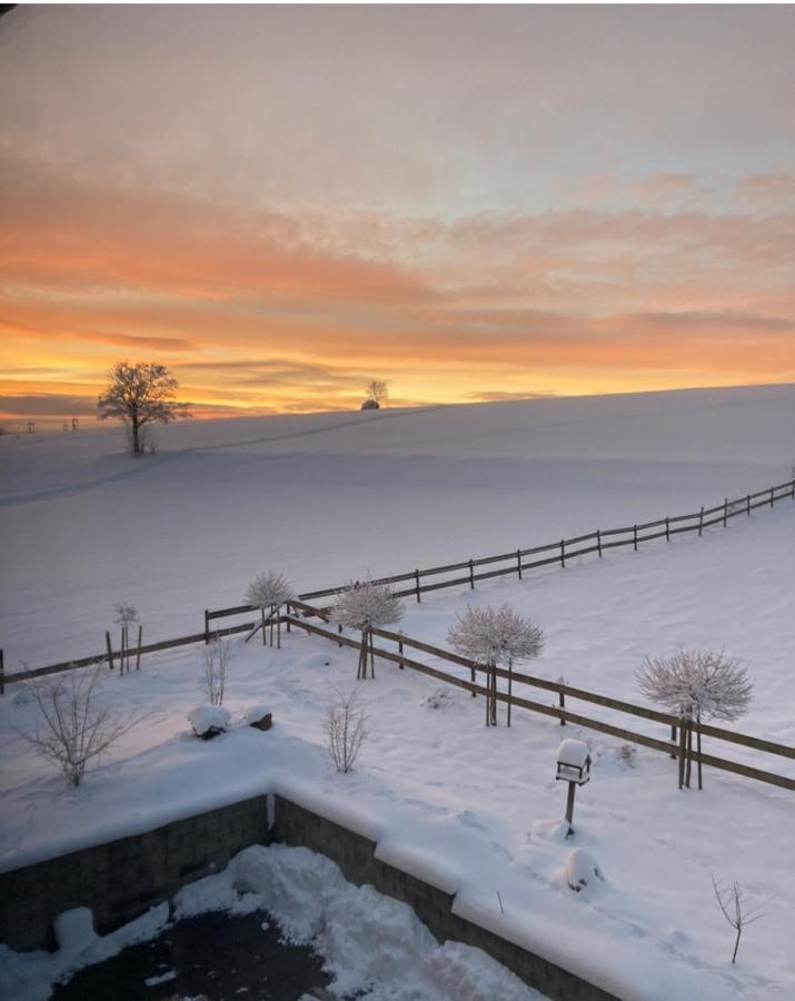 Landhotel Flora & Fauna (Adults Only) Winterberg Exteriör bild