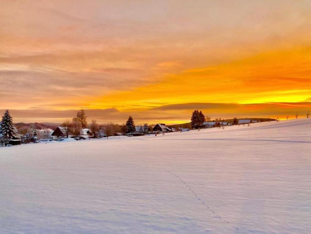 Landhotel Flora & Fauna (Adults Only) Winterberg Exteriör bild