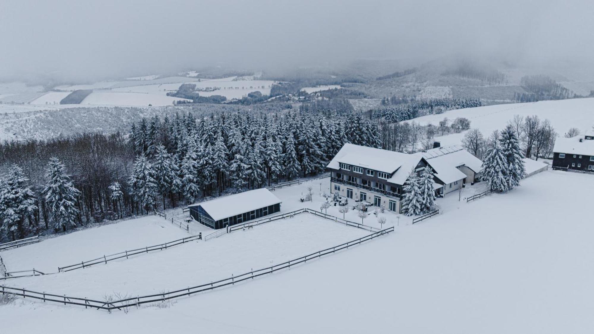 Landhotel Flora & Fauna (Adults Only) Winterberg Exteriör bild