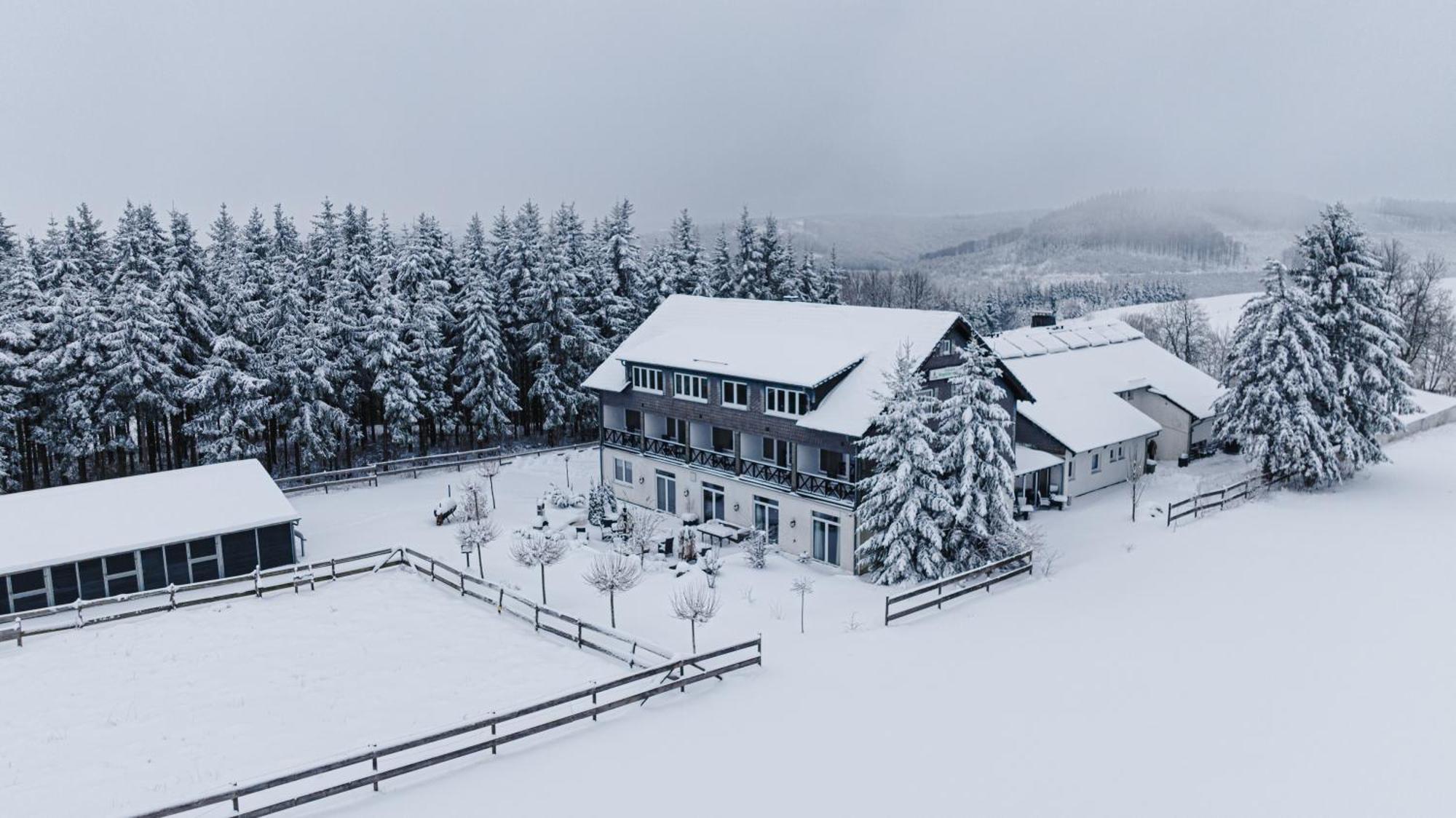 Landhotel Flora & Fauna (Adults Only) Winterberg Exteriör bild