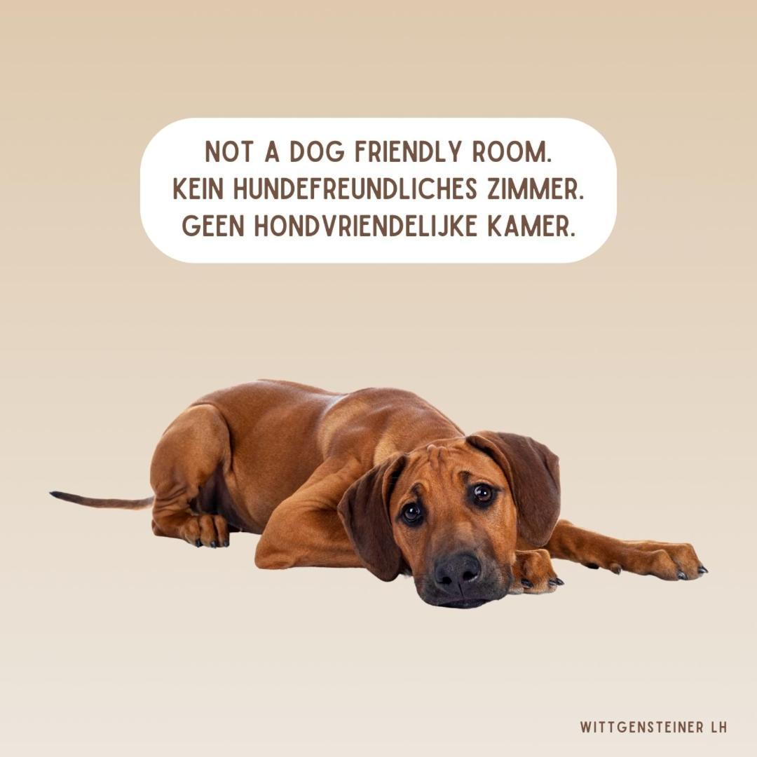 Landhotel Flora & Fauna (Adults Only) Winterberg Rum bild